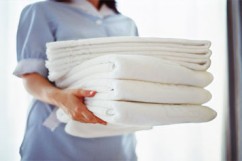 Professional laundry